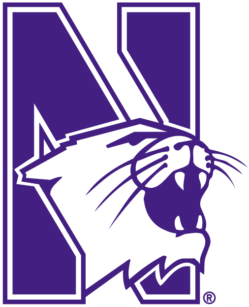 Northwestern Wildcats 1981-Pres Alternate Logo t shirts DIY iron ons